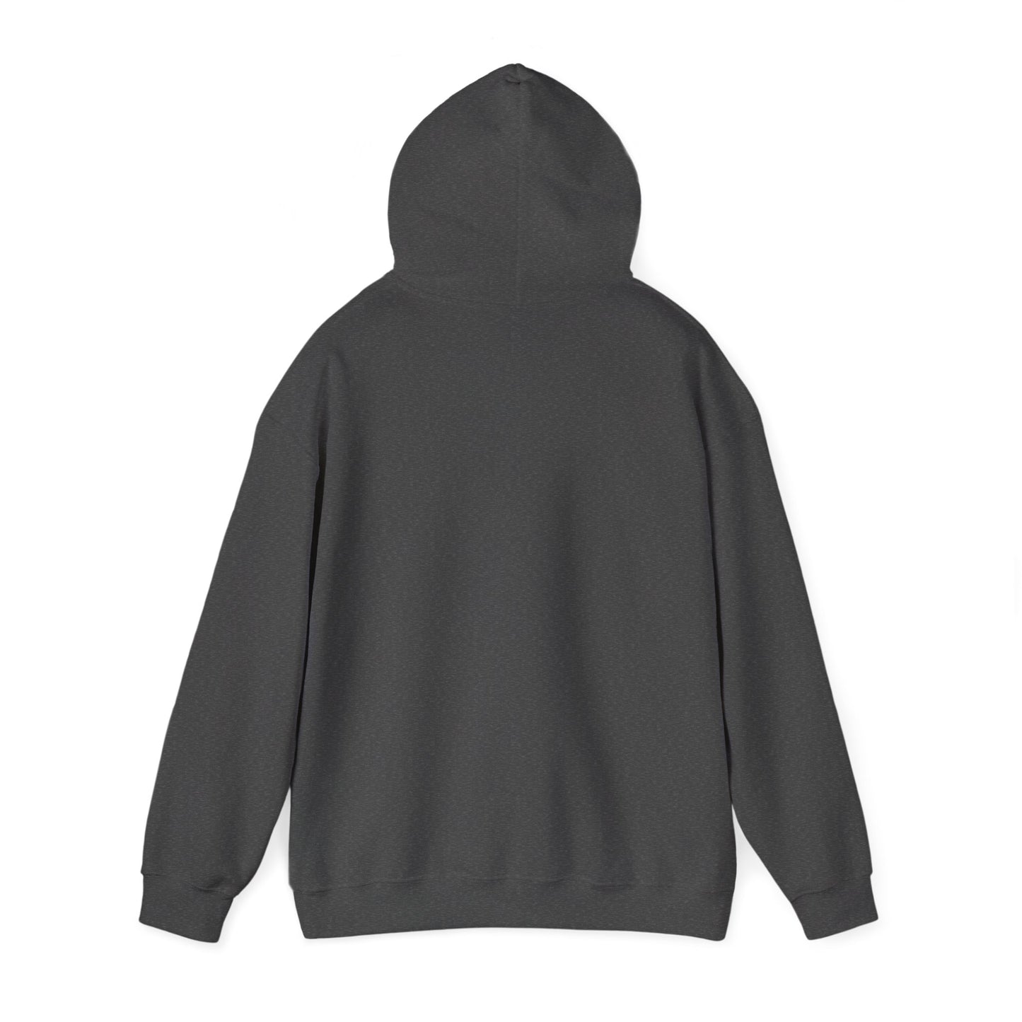 ACESO / System Hoodie
