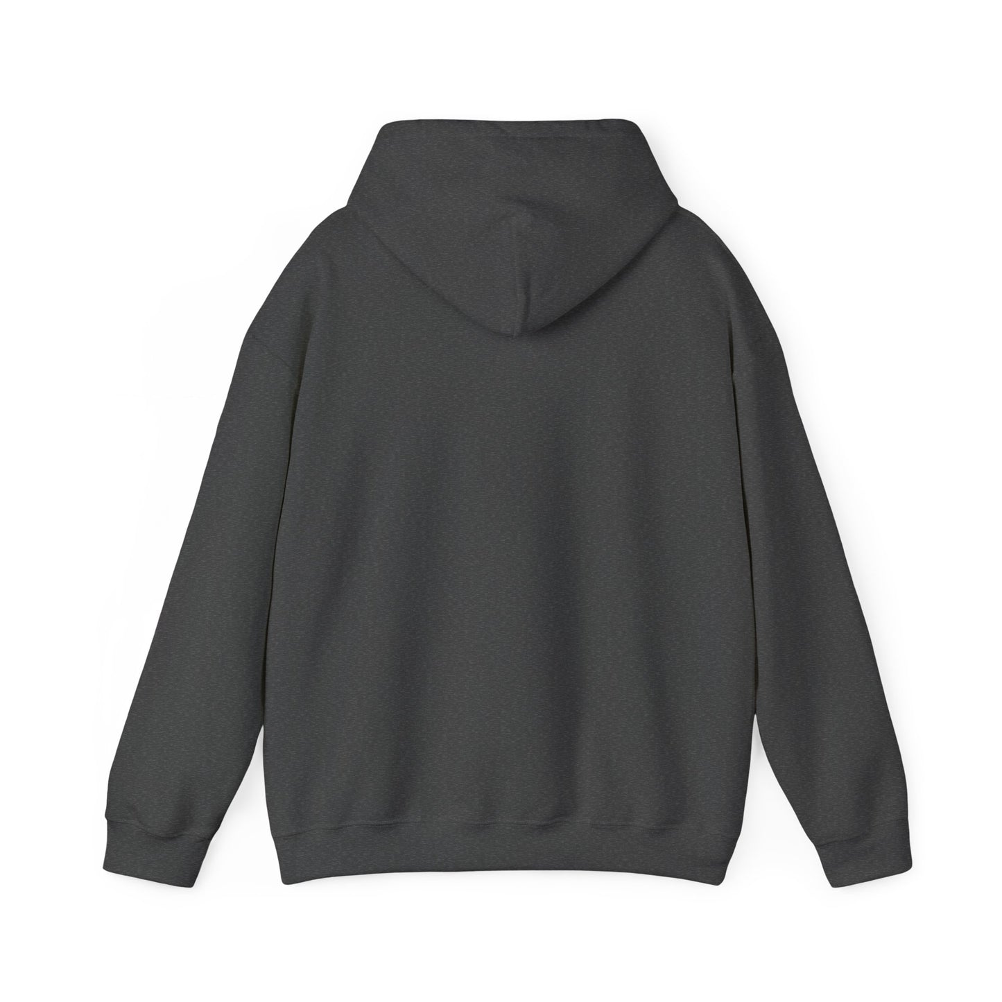 ACESO / System Hoodie