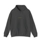 ACESO / System Hoodie